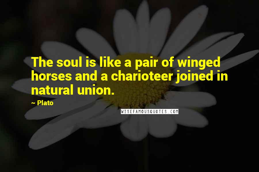 Plato Quotes: The soul is like a pair of winged horses and a charioteer joined in natural union.