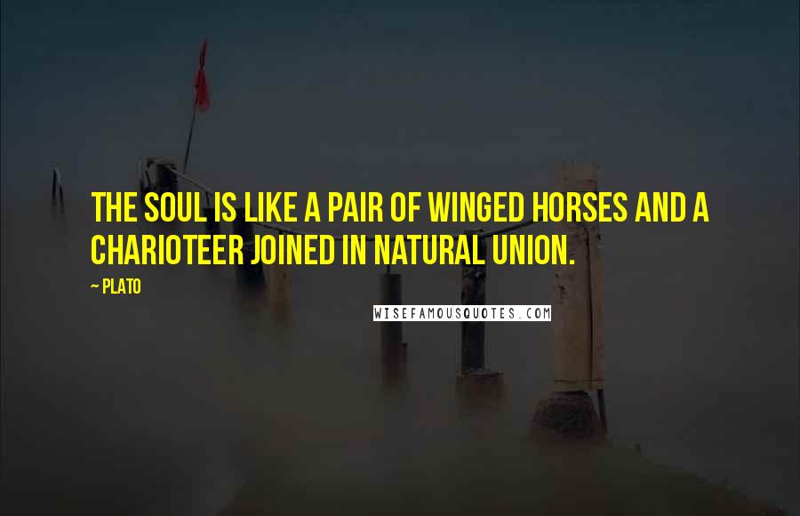 Plato Quotes: The soul is like a pair of winged horses and a charioteer joined in natural union.