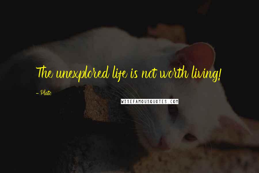 Plato Quotes: The unexplored life is not worth living!