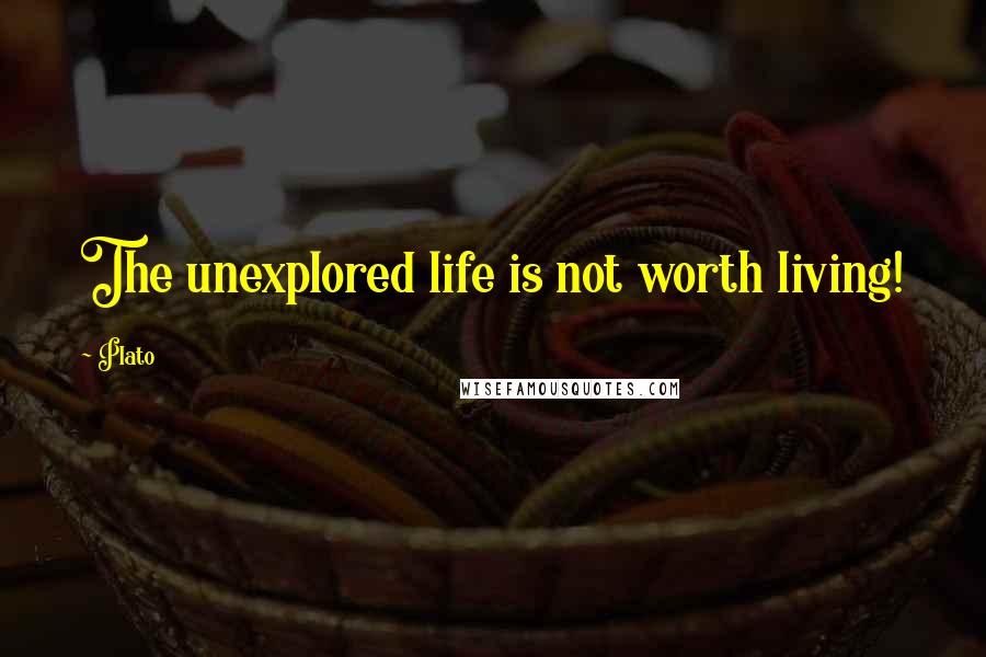Plato Quotes: The unexplored life is not worth living!