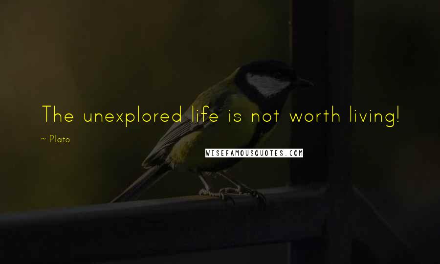Plato Quotes: The unexplored life is not worth living!