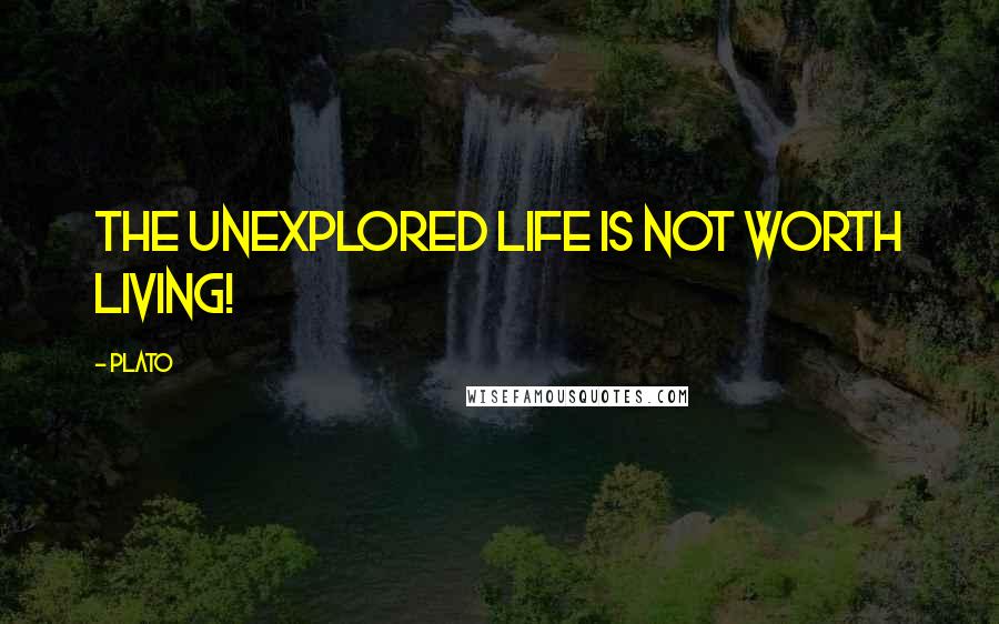 Plato Quotes: The unexplored life is not worth living!