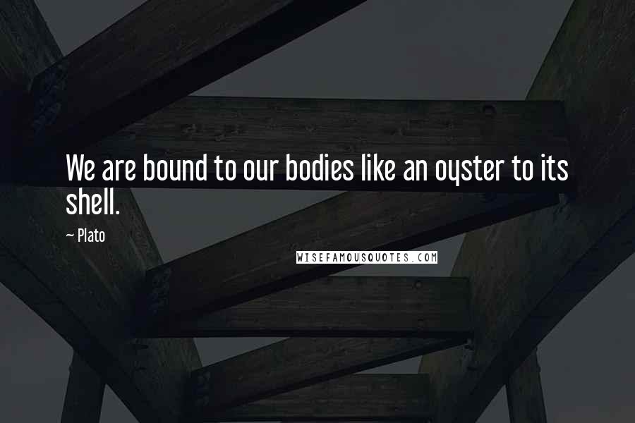 Plato Quotes: We are bound to our bodies like an oyster to its shell.