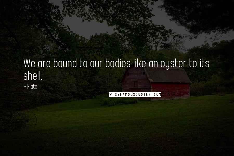 Plato Quotes: We are bound to our bodies like an oyster to its shell.