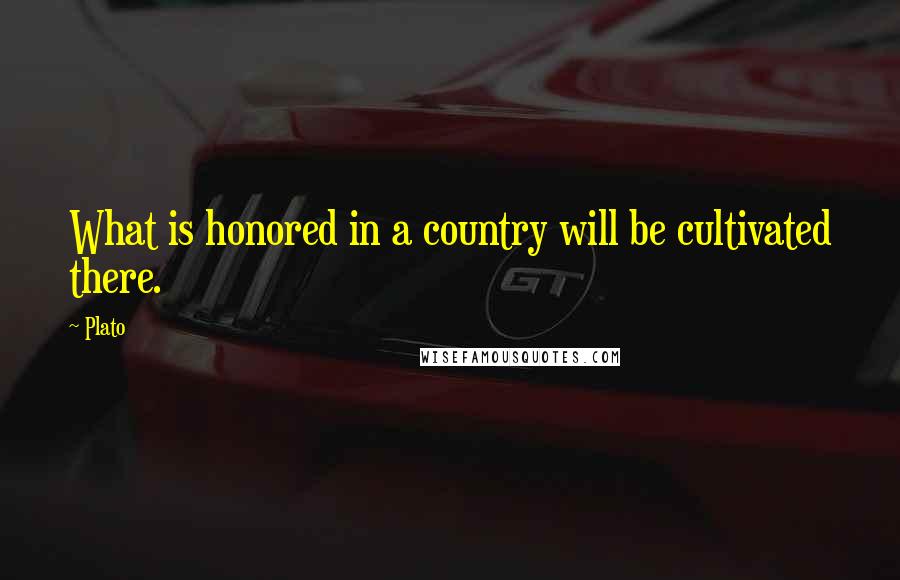 Plato Quotes: What is honored in a country will be cultivated there.