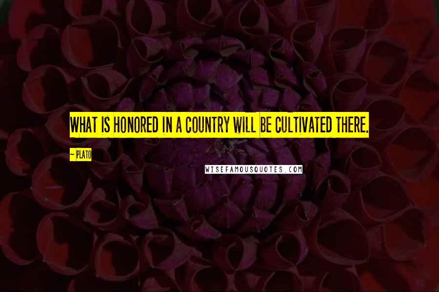 Plato Quotes: What is honored in a country will be cultivated there.
