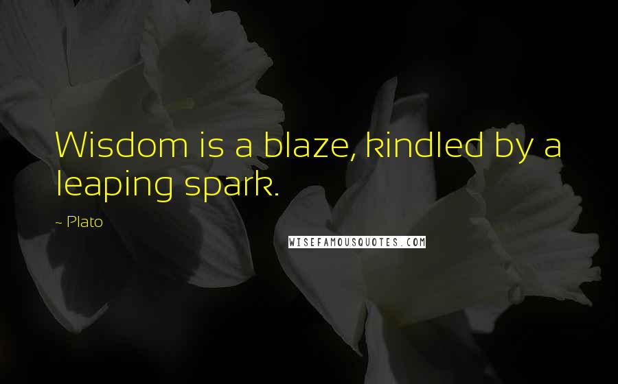 Plato Quotes: Wisdom is a blaze, kindled by a leaping spark.