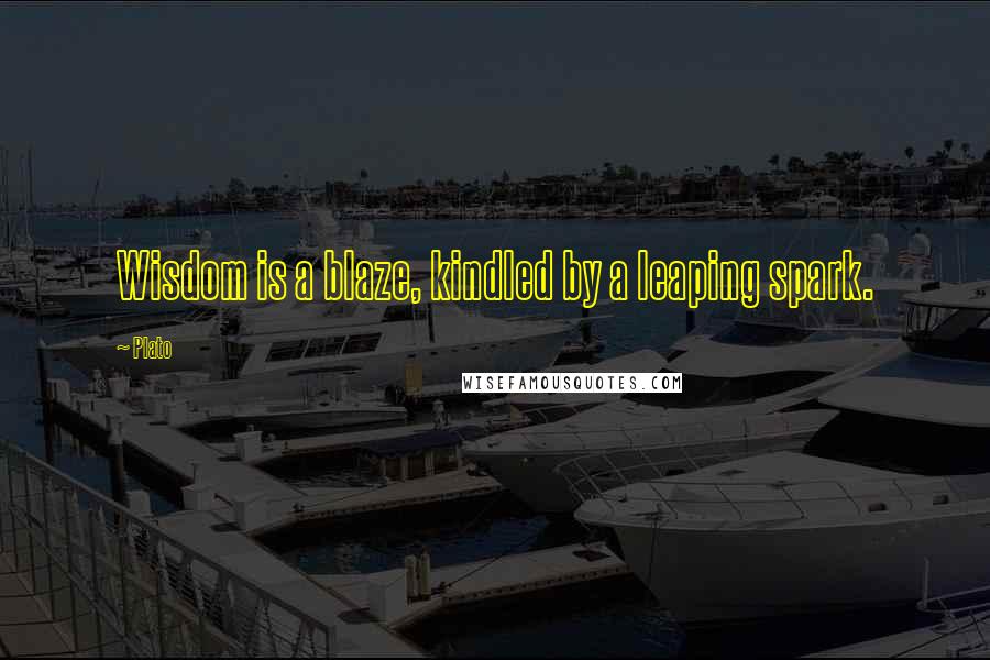 Plato Quotes: Wisdom is a blaze, kindled by a leaping spark.