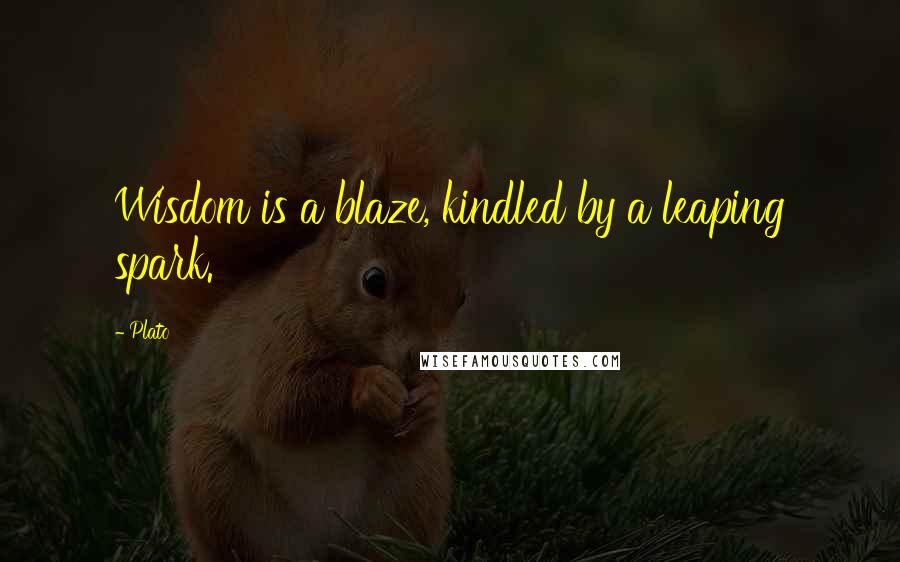 Plato Quotes: Wisdom is a blaze, kindled by a leaping spark.