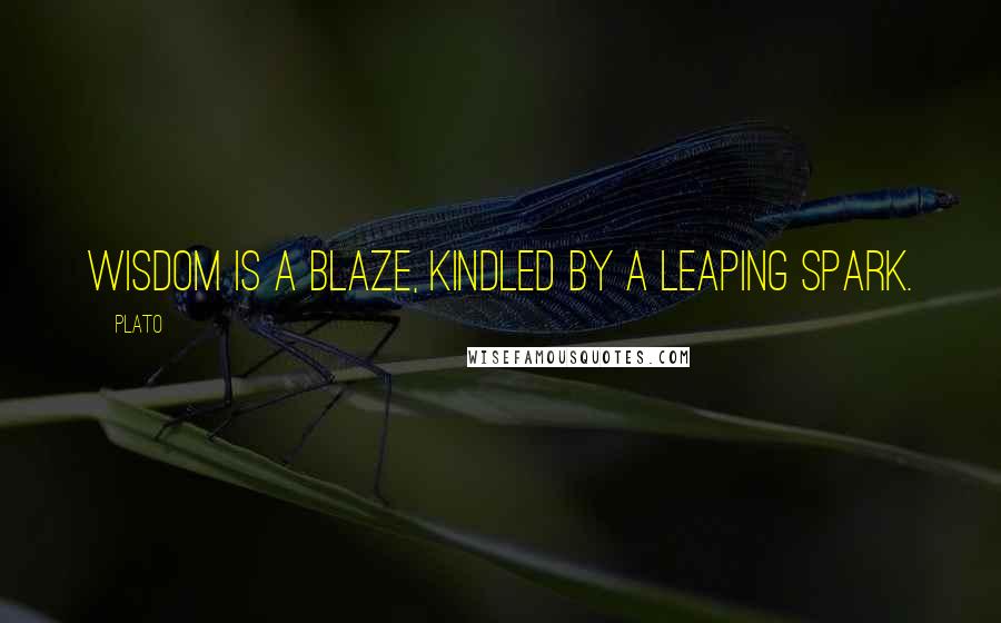 Plato Quotes: Wisdom is a blaze, kindled by a leaping spark.