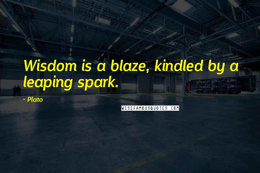 Plato Quotes: Wisdom is a blaze, kindled by a leaping spark.