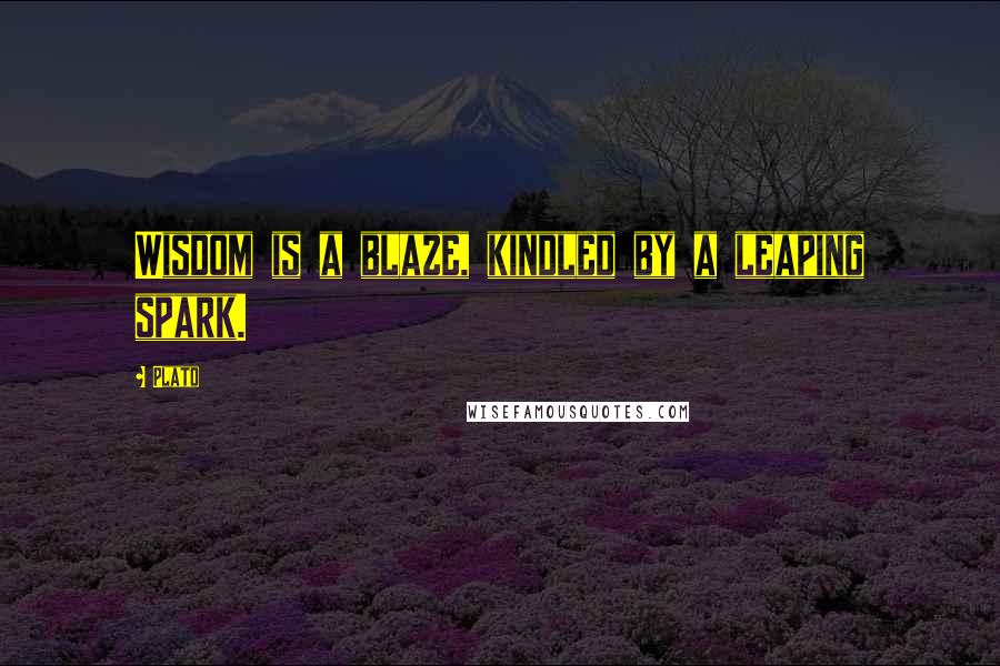 Plato Quotes: Wisdom is a blaze, kindled by a leaping spark.