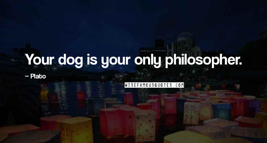 Plato Quotes: Your dog is your only philosopher.