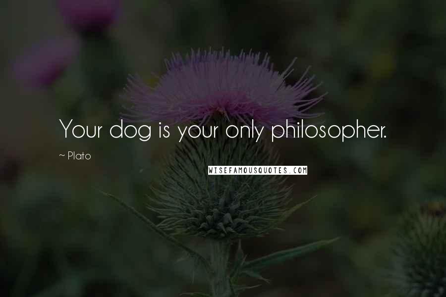 Plato Quotes: Your dog is your only philosopher.