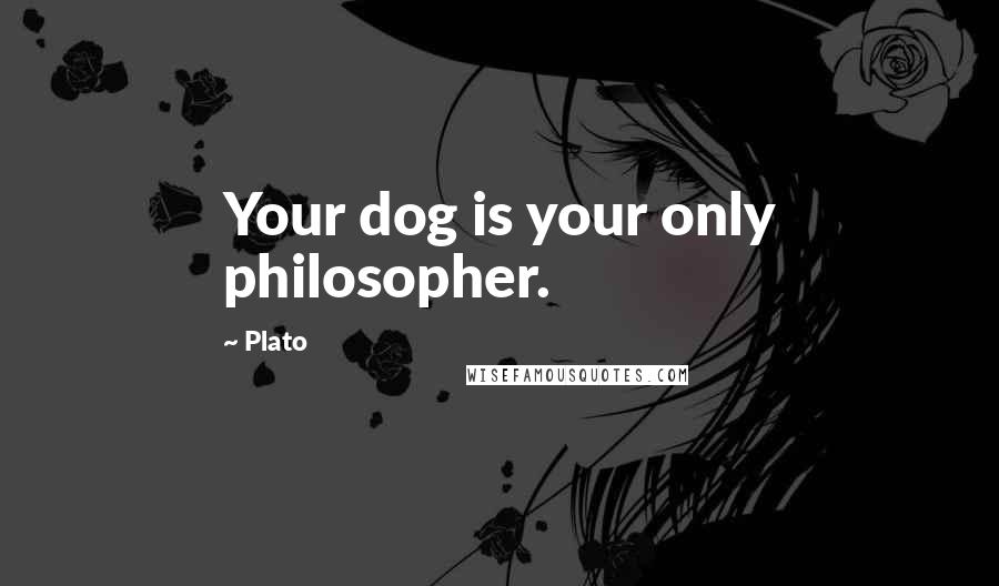 Plato Quotes: Your dog is your only philosopher.