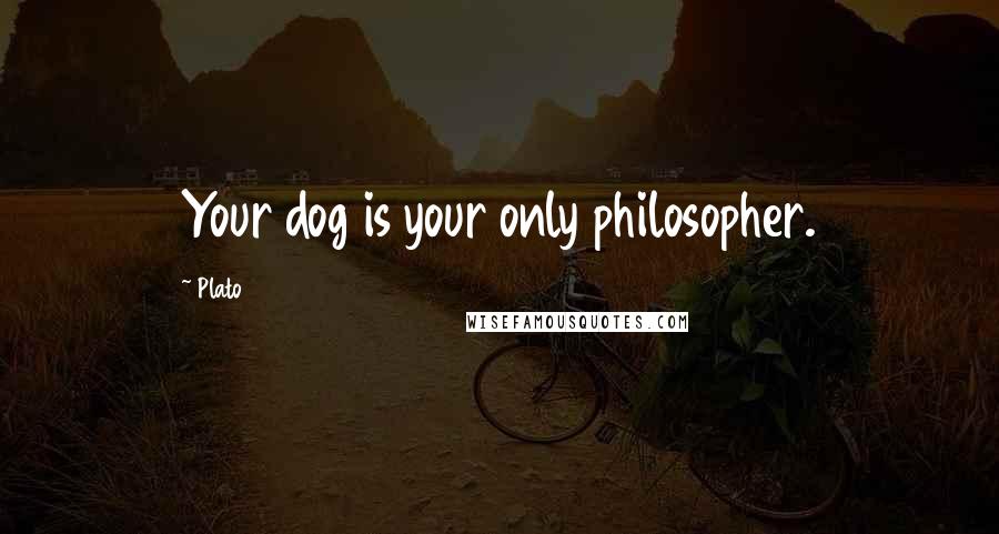 Plato Quotes: Your dog is your only philosopher.