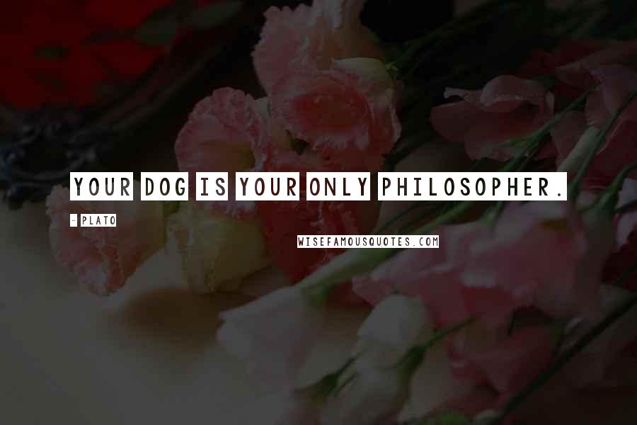 Plato Quotes: Your dog is your only philosopher.