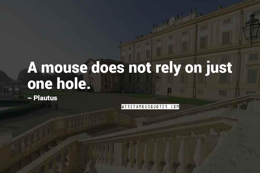 Plautus Quotes: A mouse does not rely on just one hole.