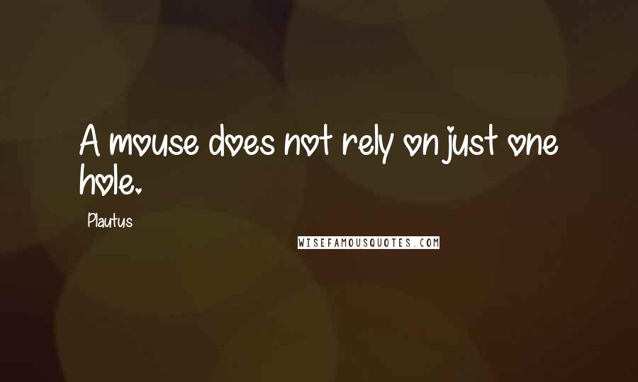 Plautus Quotes: A mouse does not rely on just one hole.