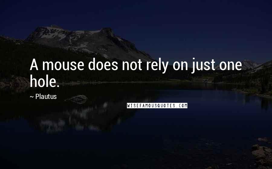 Plautus Quotes: A mouse does not rely on just one hole.