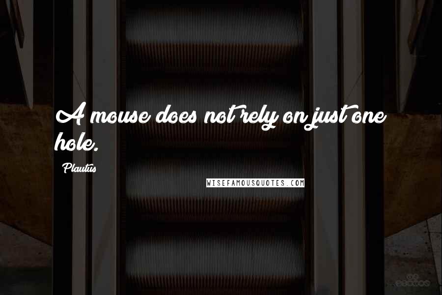 Plautus Quotes: A mouse does not rely on just one hole.