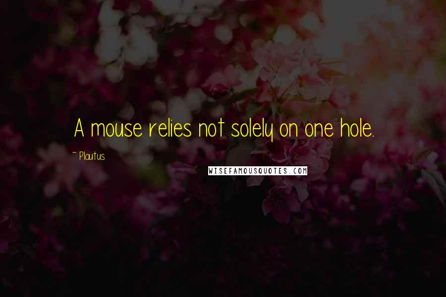 Plautus Quotes: A mouse relies not solely on one hole.