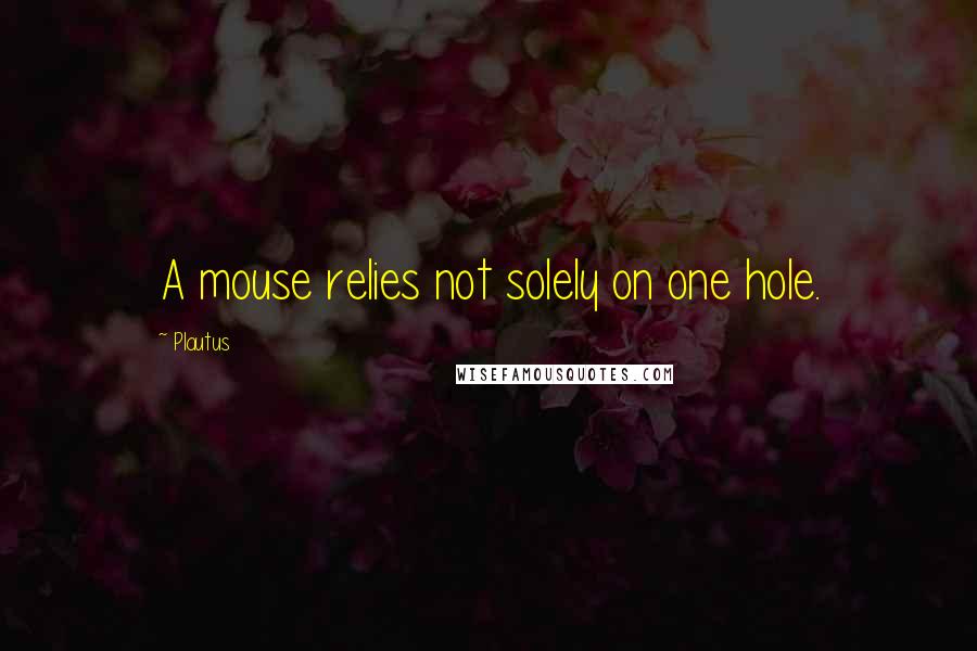 Plautus Quotes: A mouse relies not solely on one hole.