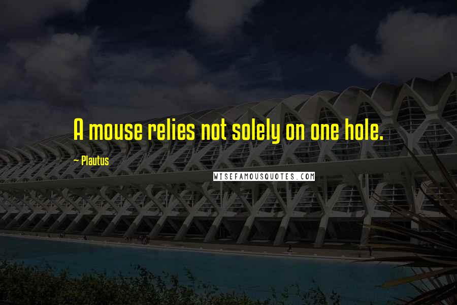 Plautus Quotes: A mouse relies not solely on one hole.