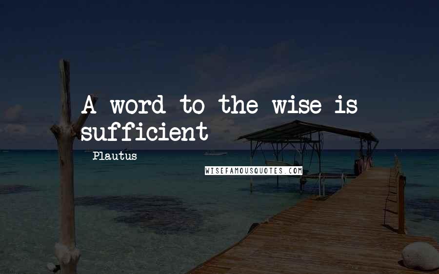 Plautus Quotes: A word to the wise is sufficient