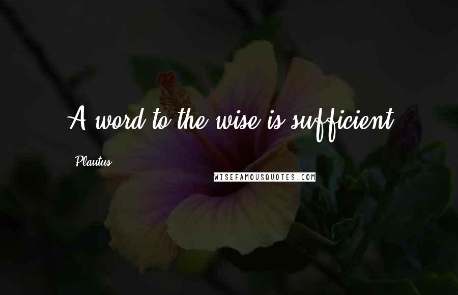 Plautus Quotes: A word to the wise is sufficient