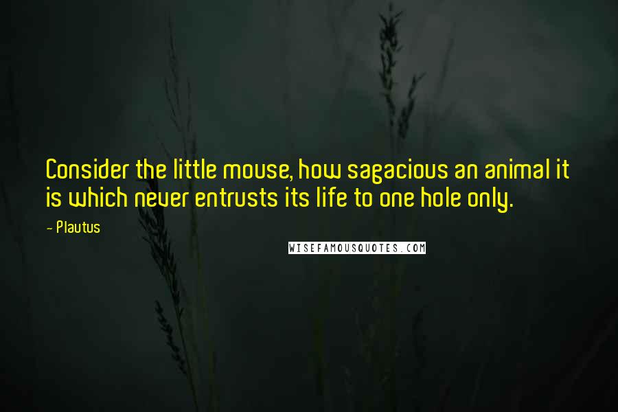 Plautus Quotes: Consider the little mouse, how sagacious an animal it is which never entrusts its life to one hole only.