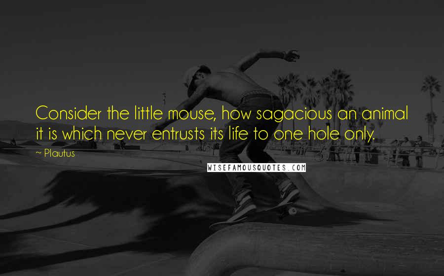 Plautus Quotes: Consider the little mouse, how sagacious an animal it is which never entrusts its life to one hole only.