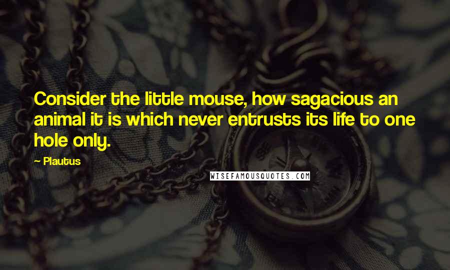 Plautus Quotes: Consider the little mouse, how sagacious an animal it is which never entrusts its life to one hole only.