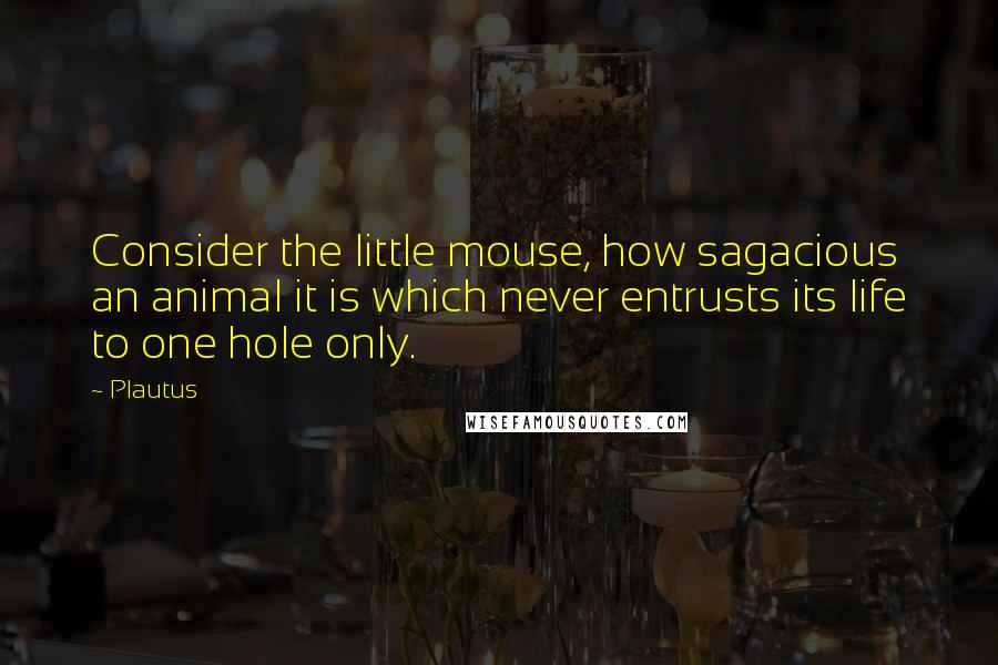 Plautus Quotes: Consider the little mouse, how sagacious an animal it is which never entrusts its life to one hole only.