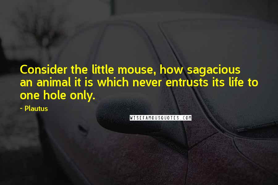 Plautus Quotes: Consider the little mouse, how sagacious an animal it is which never entrusts its life to one hole only.