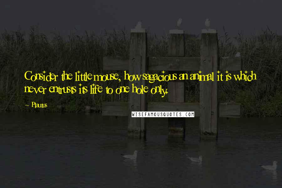 Plautus Quotes: Consider the little mouse, how sagacious an animal it is which never entrusts its life to one hole only.