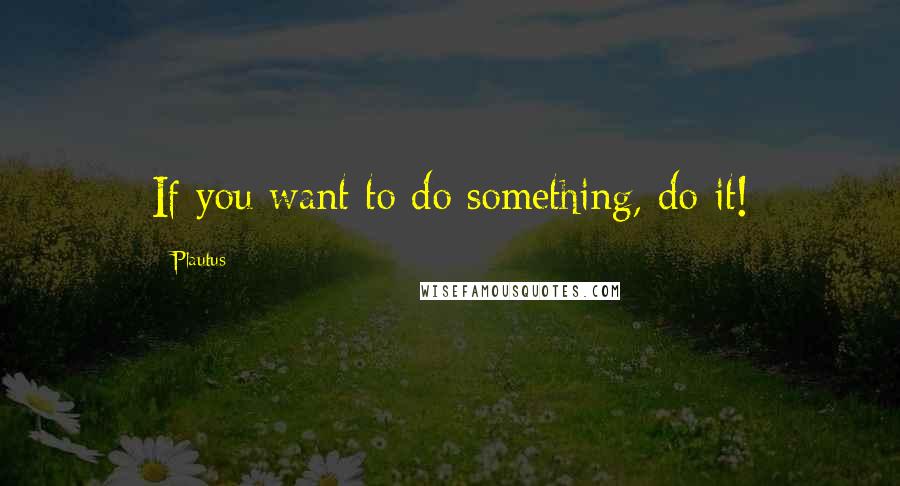 Plautus Quotes: If you want to do something, do it!