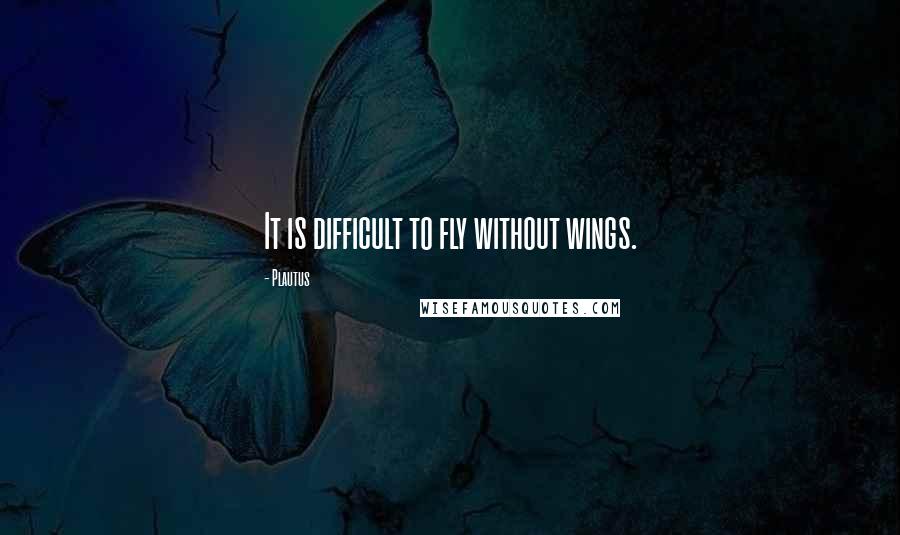 Plautus Quotes: It is difficult to fly without wings.