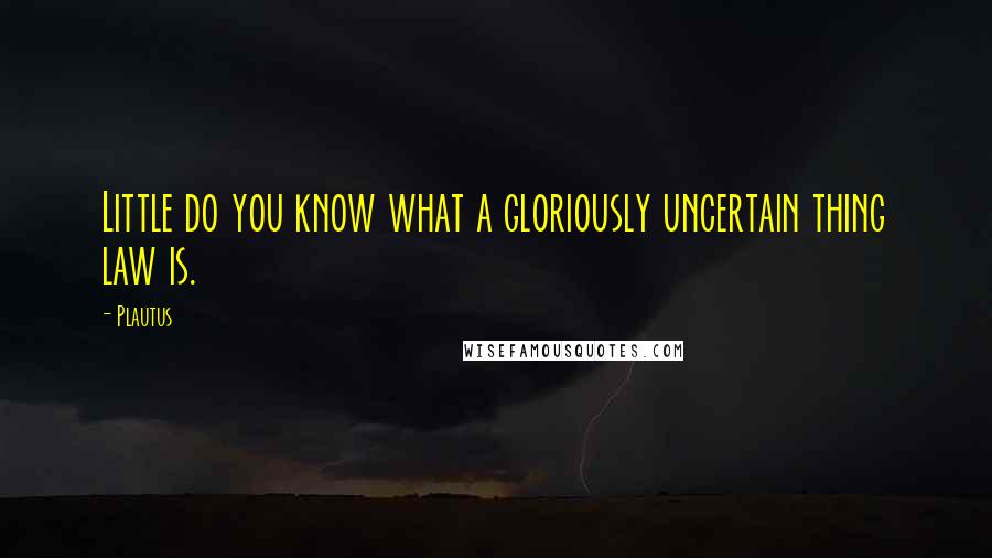 Plautus Quotes: Little do you know what a gloriously uncertain thing law is.