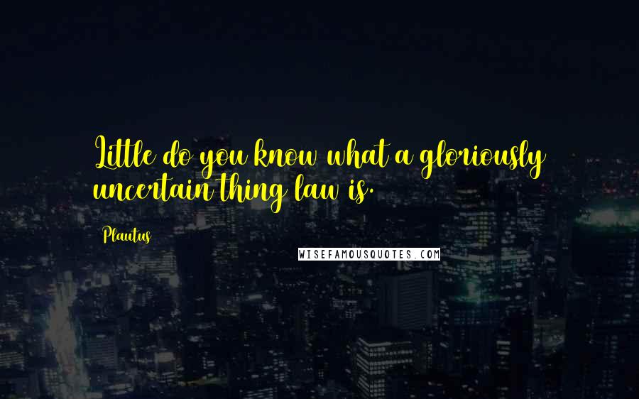 Plautus Quotes: Little do you know what a gloriously uncertain thing law is.