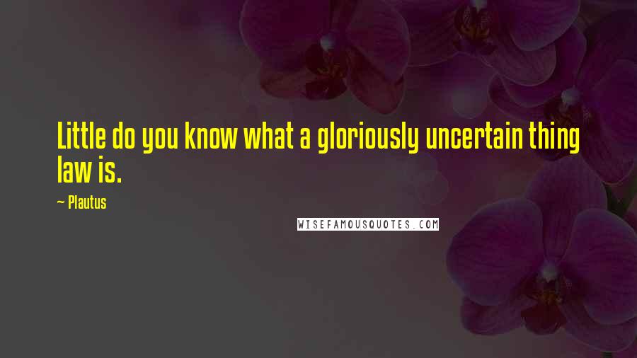 Plautus Quotes: Little do you know what a gloriously uncertain thing law is.