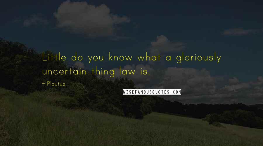 Plautus Quotes: Little do you know what a gloriously uncertain thing law is.