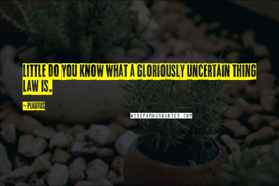 Plautus Quotes: Little do you know what a gloriously uncertain thing law is.