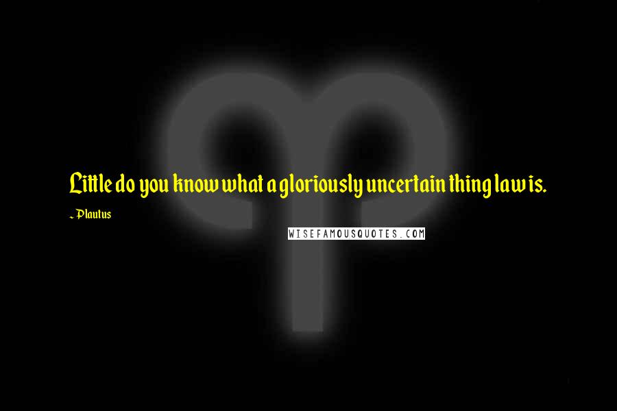 Plautus Quotes: Little do you know what a gloriously uncertain thing law is.