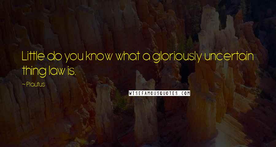Plautus Quotes: Little do you know what a gloriously uncertain thing law is.
