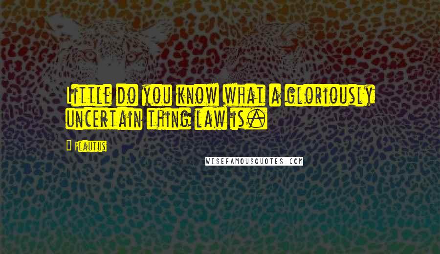 Plautus Quotes: Little do you know what a gloriously uncertain thing law is.