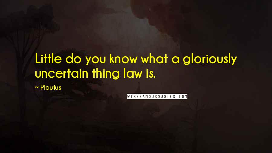 Plautus Quotes: Little do you know what a gloriously uncertain thing law is.