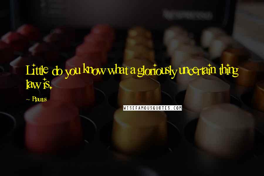 Plautus Quotes: Little do you know what a gloriously uncertain thing law is.