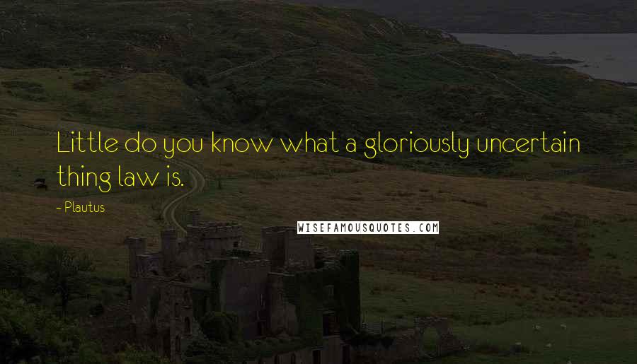 Plautus Quotes: Little do you know what a gloriously uncertain thing law is.