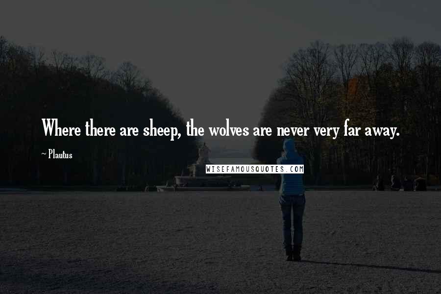 Plautus Quotes: Where there are sheep, the wolves are never very far away.